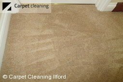 Quality steam carpet cleaners in Ilford