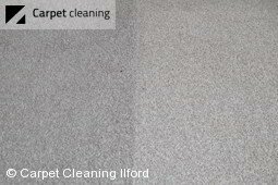 Carpet dry cleaning Ilford