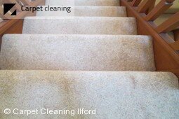 Ilford carpet cleaning experts